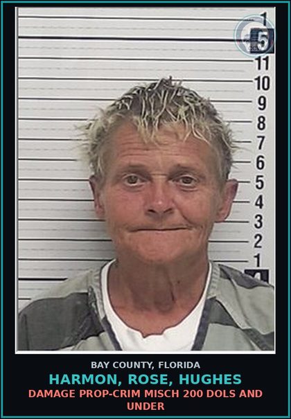 CCW arrest card for HARMON, ROSE, HUGHES in Bay County: DAMAGE PROP-CRIM MISCH 200 DOLS AND UNDER
