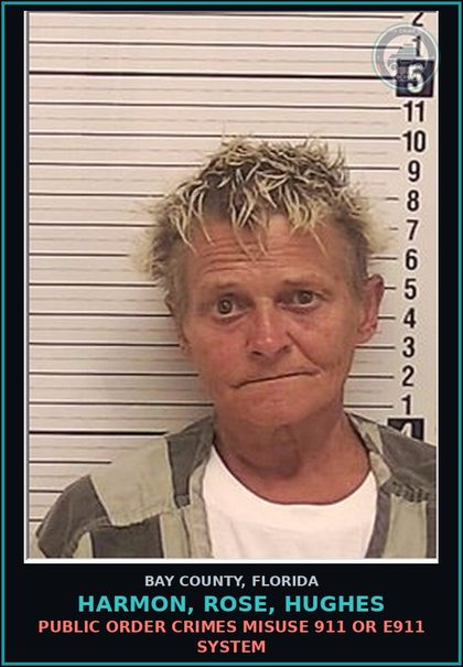 CCW arrest card for HARMON, ROSE, HUGHES in Bay County: PUBLIC ORDER CRIMES MISUSE 911 OR E911 SYSTEM