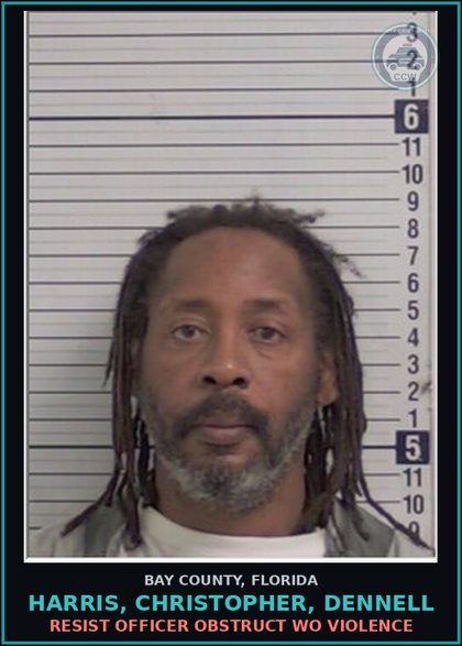CCW arrest card for HARRIS, CHRISTOPHER, DENNELL in Bay County: RESIST OFFICER OBSTRUCT WO VIOLENCE