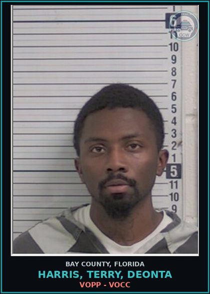 CCW arrest card for HARRIS, TERRY, DEONTA in Bay County: VOPP - VOCC