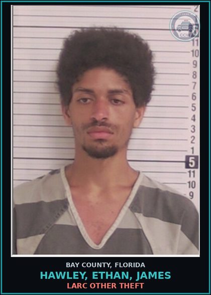 CCW arrest card for HAWLEY, ETHAN, JAMES in Bay County: LARC OTHER THEFT