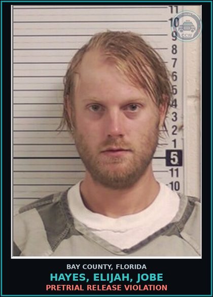 CCW arrest card for HAYES, ELIJAH, JOBE in Bay County: PRETRIAL RELEASE VIOLATION