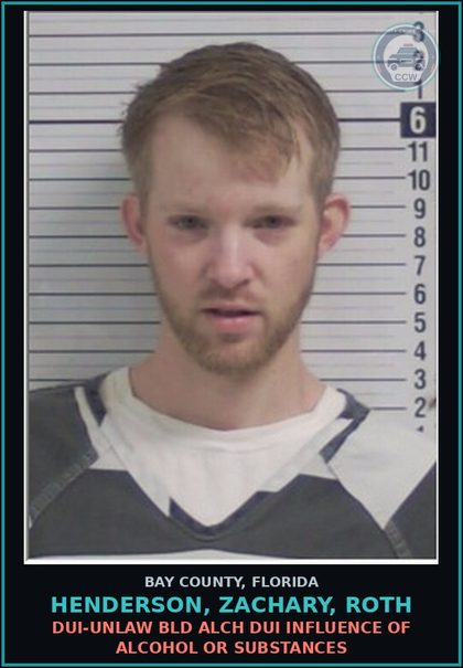CCW arrest card for HENDERSON, ZACHARY, ROTH in Bay County: DUI-UNLAW BLD ALCH DUI INFLUENCE OF ALCOHOL OR DRUGS