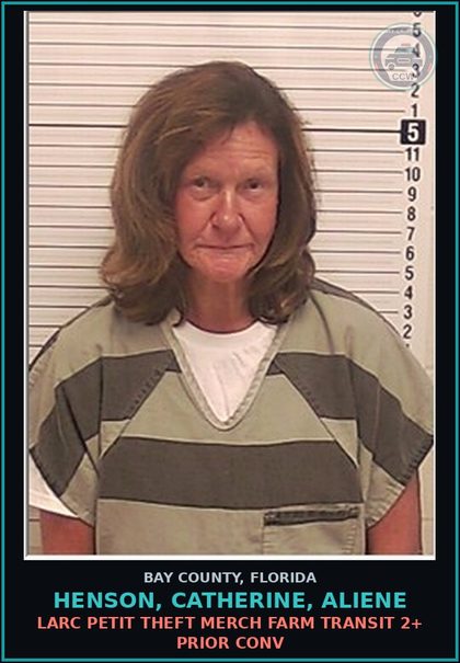 CCW arrest card for HENSON, CATHERINE, ALIENE in Bay County: LARC PETIT THEFT MERCH FARM TRANSIT 2+ PRIOR CONV