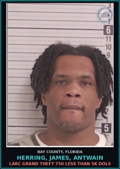 CCW arrest card for HERRING, JAMES, ANTWAIN in Bay County: FTA - MISDEMEANOR