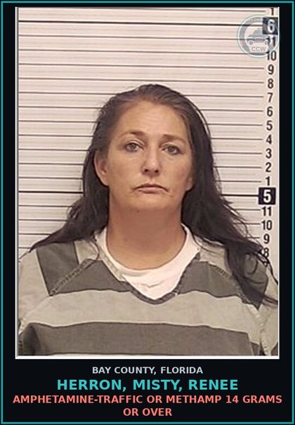 CCW arrest card for HERRON, MISTY, RENEE in Bay County: AMPHETAMINE-TRAFFIC OR Methamp 14 GRAMS OR OVER