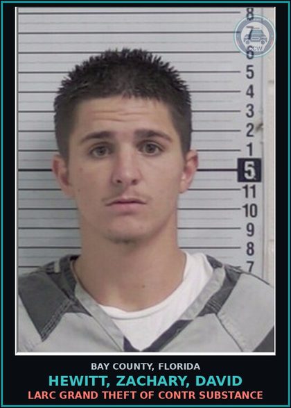 CCW arrest card for HEWITT, ZACHARY, DAVID in Bay County: LARC PETIT THEFT MERCH FARM TRANSIT $100 LT $750
