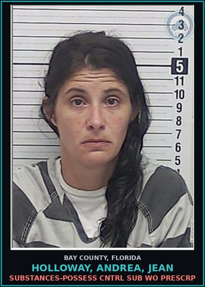 CCW arrest card for HOLLOWAY, ANDREA, JEAN in Bay County: DRUGS-POSSESS CNTRL SUB WO PRESCRIPTION