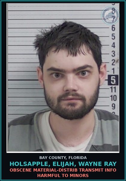 CCW arrest card for HOLSAPPLE, ELIJAH, WAYNE RAY in Bay County: OBSCENE MATERIAL-DISTRIB TRANSMIT INFO HARMFUL TO MINORS