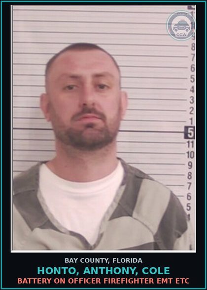 CCW arrest card for HONTO, ANTHONY, COLE in Bay County: VOPP - VOCC