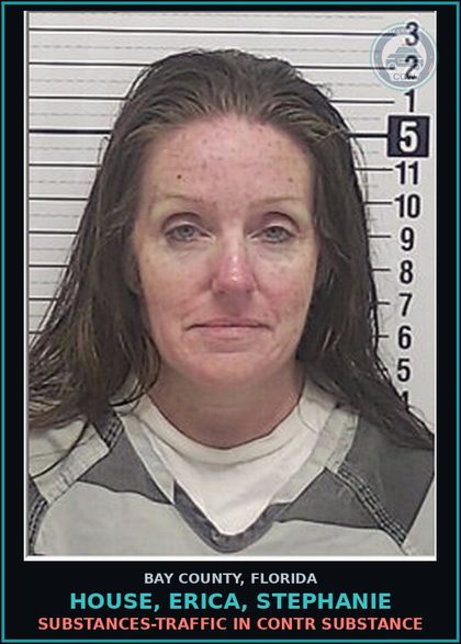 CCW arrest card for HOUSE, ERICA, STEPHANIE in Bay County: DRUGS-TRAFFIC IN contr substance