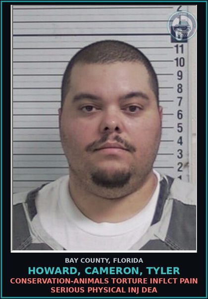 CCW arrest card for HOWARD, CAMERON, TYLER in Bay County: CONSERVATION-ANIMALS TORTURE INFLCT PAIN SERIOUS PHYSICAL INJ DEA