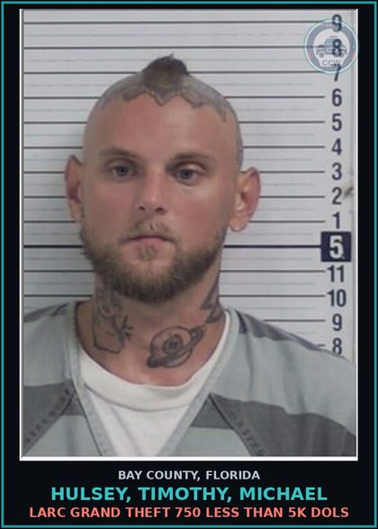 CCW arrest card for HULSEY, TIMOTHY, MICHAEL in Bay County: LARC GRAND THEFT 750 LESS THAN 5K DOLS