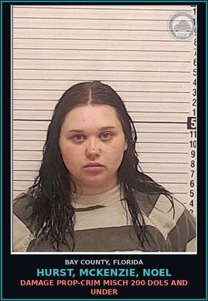CCW arrest card for HURST, MCKENZIE, NOEL in Bay County: DAMAGE PROP-CRIM MISCH 200 DOLS AND UNDER
