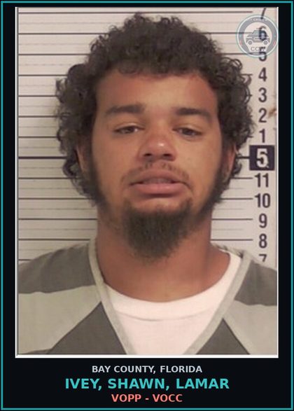 CCW arrest card for IVEY, SHAWN, LAMAR in Bay County: VOPP - VOCC