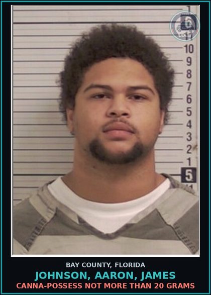 CCW arrest card for JOHNSON, AARON, JAMES in Bay County: Canna-POSSESS NOT MORE THAN 20 GRAMS