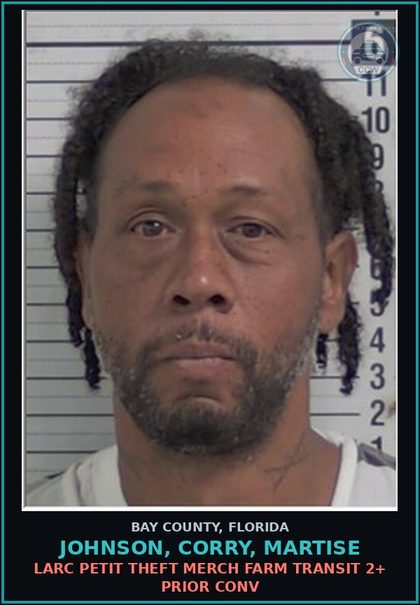 CCW arrest card for JOHNSON, CORRY, MARTISE in Bay County: LARC PETIT THEFT MERCH FARM TRANSIT 2+ PRIOR CONV
