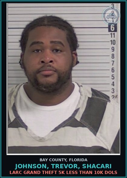 CCW arrest card for JOHNSON, TREVOR, SHACARI in Bay County: FORGERY OF ALTER BANK BILL NOTE CHECK DRAFT