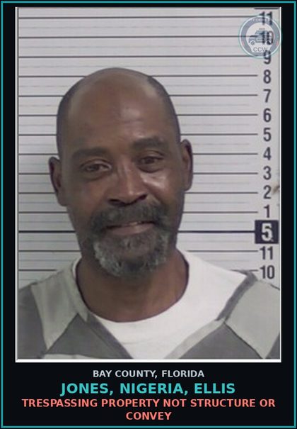 CCW arrest card for JONES, NIGERIA, ELLIS in Bay County: SIMPLE ASSLT INTENT THREAT TO DO VIOLENCE