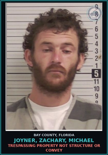 CCW arrest card for JOYNER, ZACHARY, MICHAEL in Bay County: DRUGS-POSSESS CNTRL SUB WO PRESCRIPTION