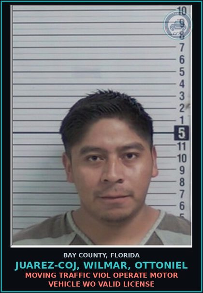 CCW arrest card for JUAREZ-COJ, WILMAR, OTTONIEL in Bay County: MOVING TRAFFIC VIOL OPERATE MOTOR VEHICLE WO VALID LICENSE