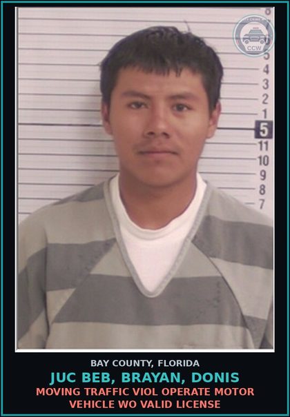 CCW arrest card for JUC BEB, BRAYAN, DONIS in Bay County: MOVING TRAFFIC VIOL OPERATE MOTOR VEHICLE WO VALID LICENSE