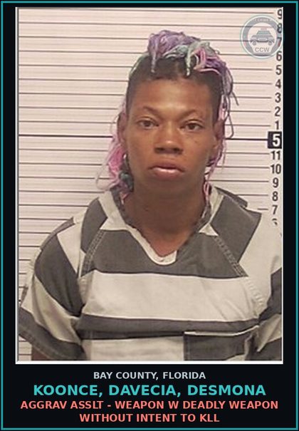 CCW arrest card for KOONCE, DAVECIA, DESMONA in Bay County: HIT AND RUN LEAVE SCENE OF CRASH INVOLVE DAMAGE TO PROP