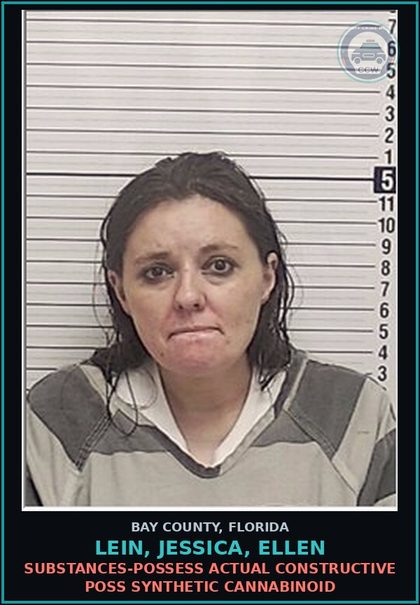 CCW arrest card for LEIN, JESSICA, ELLEN in Bay County: DRUG EQUIP-POSSESS AND OR USE