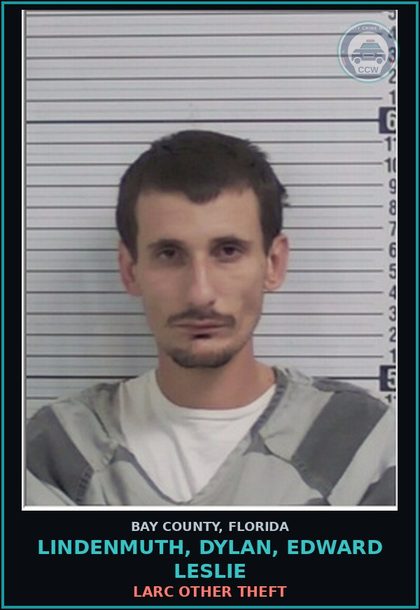 CCW arrest card for LINDENMUTH, DYLAN, EDWARD LESLIE in Bay County: LARC OTHER THEFT