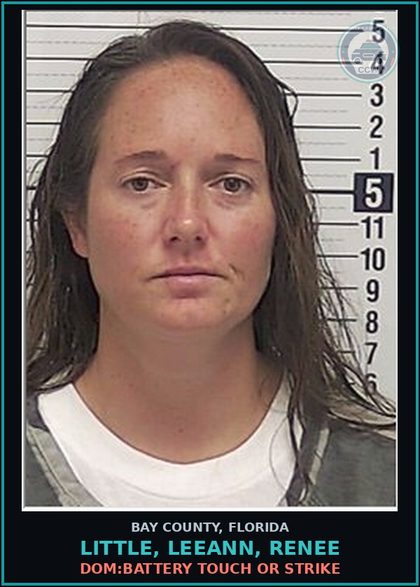 CCW arrest card for LITTLE, LEEANN, RENEE in Bay County: DOM:BATTERY TOUCH OR STRIKE