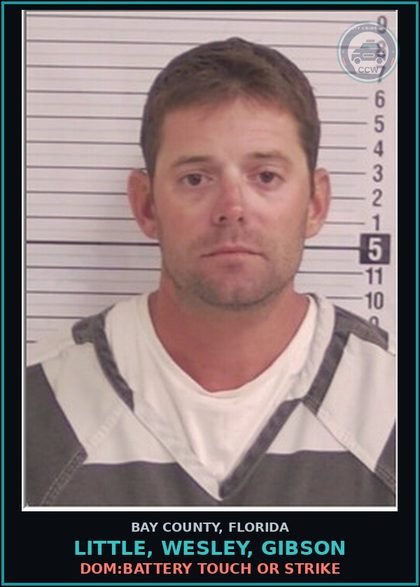 CCW arrest card for LITTLE, WESLEY, GIBSON in Bay County: DOM:BATTERY TOUCH OR STRIKE