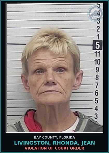 CCW arrest card for LIVINGSTON, RHONDA, JEAN in Bay County: VIOLATION OF COURT ORDER