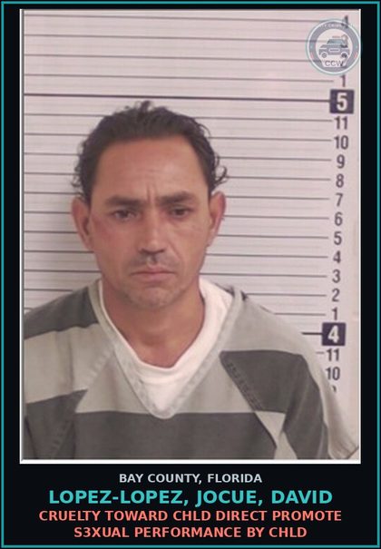 CCW arrest card for LOPEZ-LOPEZ, JOCUE, DAVID in Bay County: RESIST OFFICER OBSTRUCT WO VIOLENCE