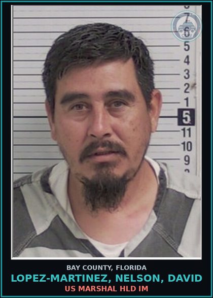 CCW arrest card for LOPEZ-MARTINEZ, NELSON, DAVID in Bay County: US MARSHAL HLD IM