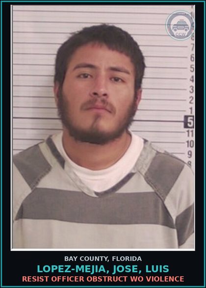CCW arrest card for LOPEZ-MEJIA, JOSE, LUIS in Bay County: RESIST OFFICER OBSTRUCT WO VIOLENCE