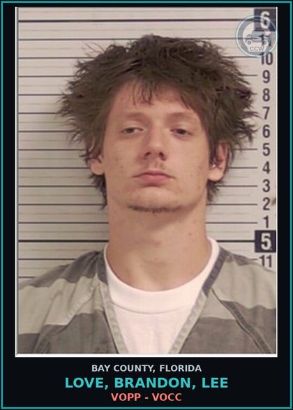 CCW arrest card for LOVE, BRANDON, LEE in Bay County: VOPP - VOCC