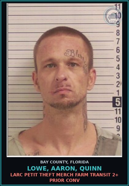 CCW arrest card for LOWE, AARON, QUINN in Bay County: VOPP - VOCC