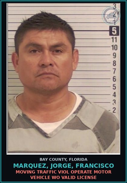 CCW arrest card for MARQUEZ, JORGE, FRANCISCO in Bay County: MOVING TRAFFIC VIOL OPERATE MOTOR VEHICLE WO VALID LICENSE