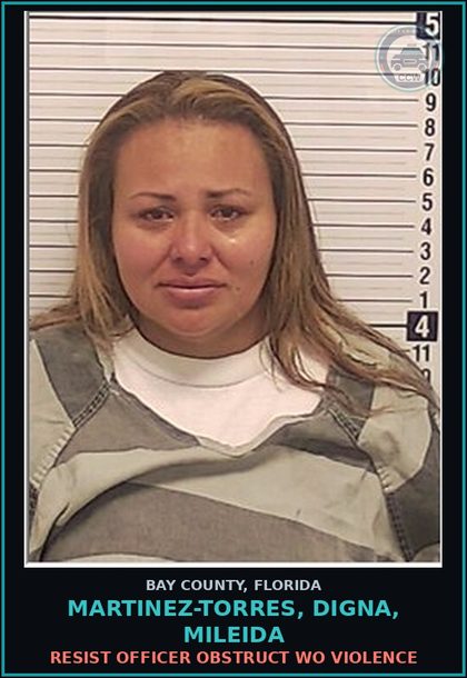 CCW arrest card for MARTINEZ-TORRES, DIGNA, MILEIDA in Bay County: FTA - MISDEMEANOR