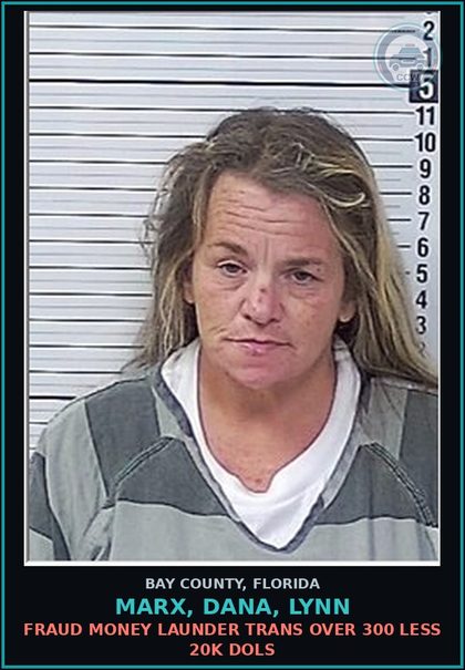 CCW arrest card for MARX, DANA, LYNN in Bay County: FRAUD MONEY LAUNDER TRANS OVER 300 LESS 20K DOLS