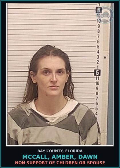 CCW arrest card for MCCALL, AMBER, DAWN in Bay County: NON SUPPORT OF CHILDREN OR SPOUSE