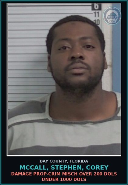 CCW arrest card for MCCALL, STEPHEN, COREY in Bay County: DAMAGE PROP-CRIM MISCH OVER 200 DOLS UNDER 1000 DOLS