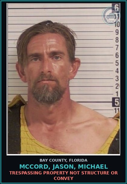 CCW arrest card for MCCORD, JASON, MICHAEL in Bay County: DRUGS-POSSESS CNTRL SUB WO PRESCRIPTION