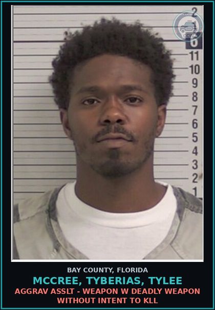 CCW arrest card for MCCREE, TYBERIAS, TYLEE in Bay County: AGGRAV ASSLT - WEAPON W DEADLY WEAPON WITHOUT INTENT TO KILL