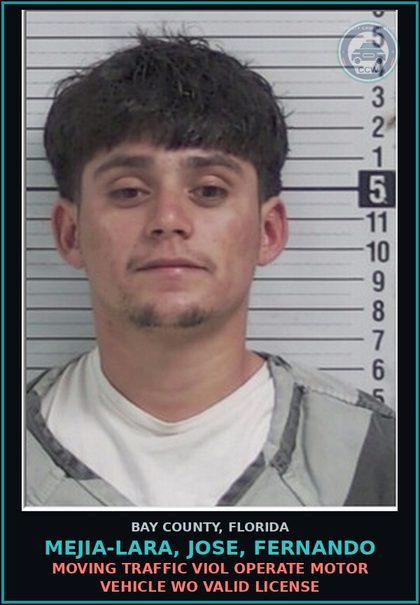 CCW arrest card for MEJIA-LARA, JOSE, FERNANDO in Bay County: MOVING TRAFFIC VIOL OPERATE MOTOR VEHICLE WO VALID LICENSE