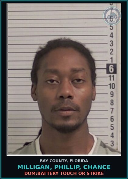 CCW arrest card for MILLIGAN, PHILLIP, CHANCE in Bay County: DOM:BATTERY TOUCH OR STRIKE
