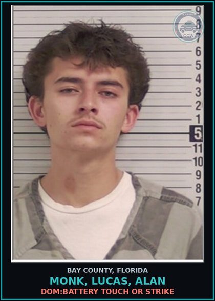 CCW arrest card for MONK, LUCAS, ALAN in Bay County: DOM:BATTERY TOUCH OR STRIKE