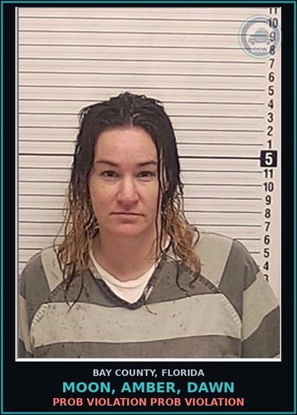 CCW arrest card for MOON, AMBER, DAWN in Bay County: PROB VIOLATION PROB VIOLATION