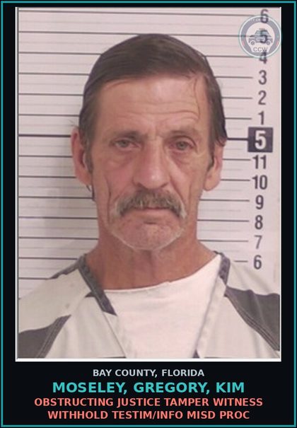 CCW arrest card for MOSELEY, GREGORY, KIM in Bay County: OBSTRUCTING JUSTICE TAMPER WITNESS WITHHOLD TESTIM/INFO MISD PROC
