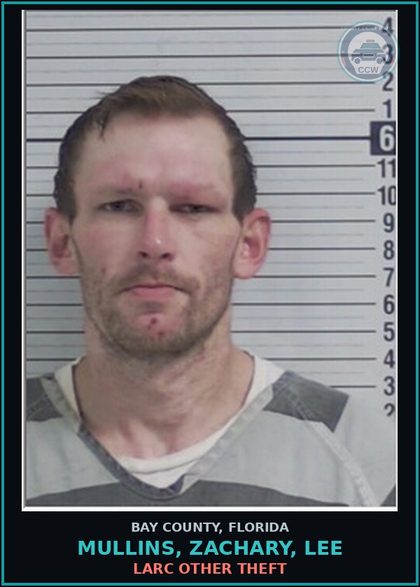 CCW arrest card for MULLINS, ZACHARY, LEE in Bay County: LARC OTHER THEFT